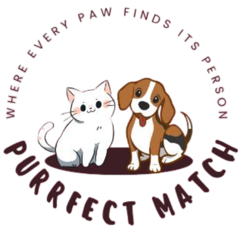 Purrfect Match